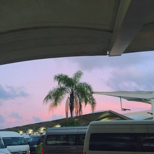 Meet your Posher, Sofia